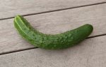 cucumber 2